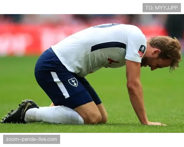 凯恩高位逼抢如何撕开防线，成为热刺关键战逆转支点