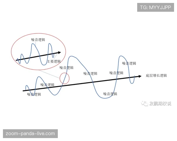 琼阿梅尼评价两极分化的原因：战术适配困境与表现波动性解析